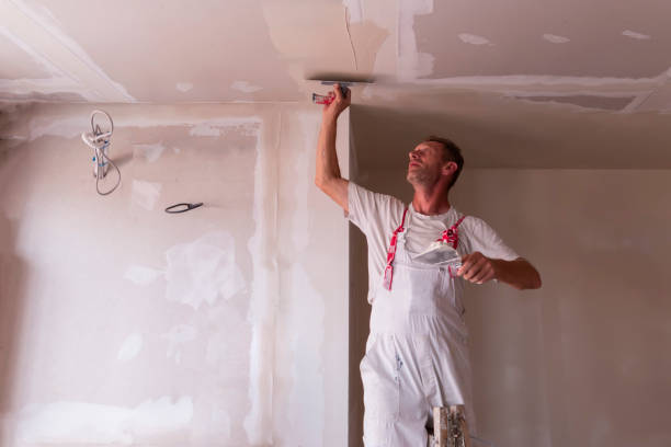 Best Drywall Installation  in Rugby, ND